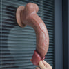 The 10.5 inches dual layered platinum silicone cock is firmly attached to the glass wall with its suction cup
