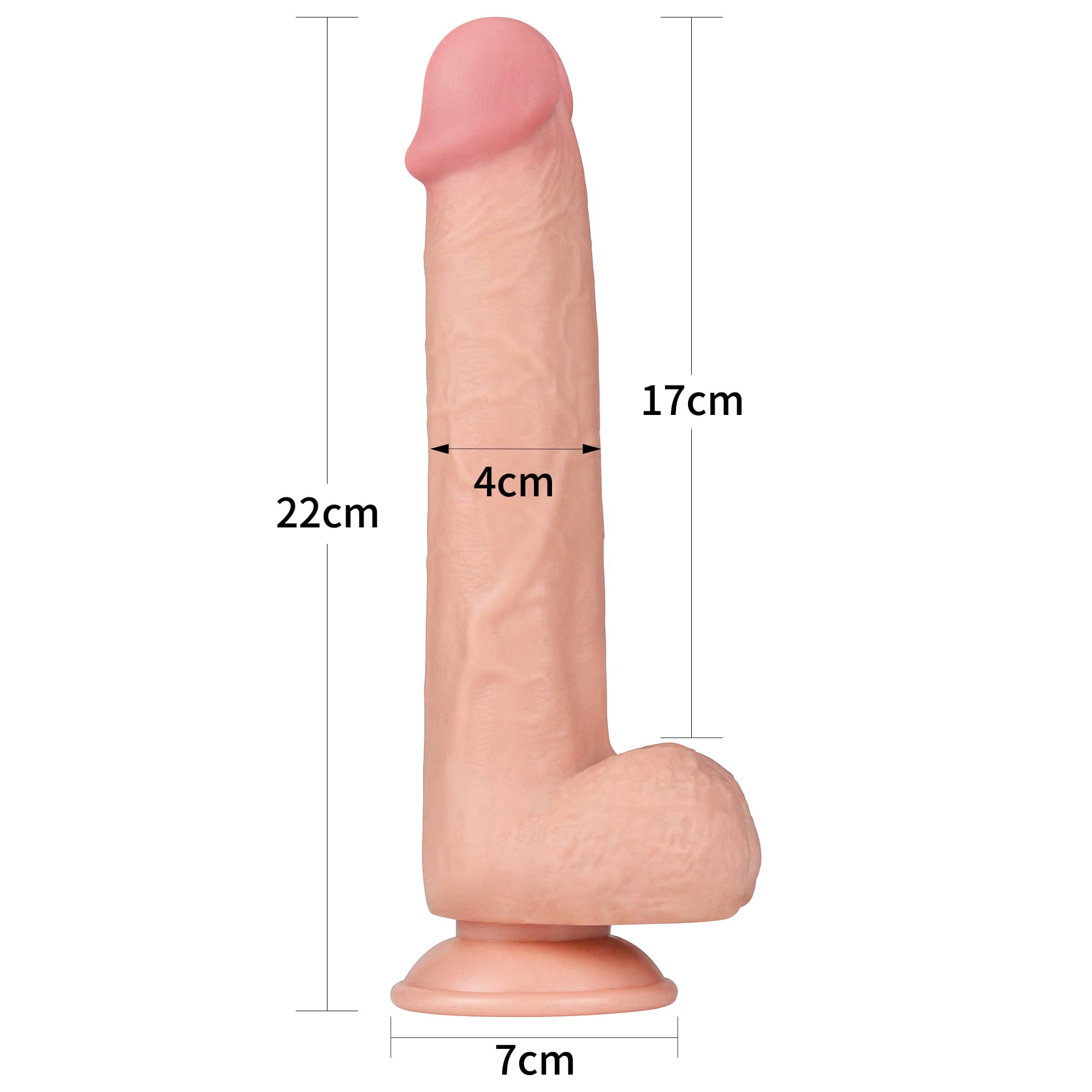 The size of the 9 inches realistic sliding skin suction cup dildo