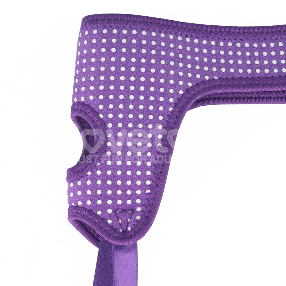 The polka dots psttern of the easy strap on harness polka dots purple