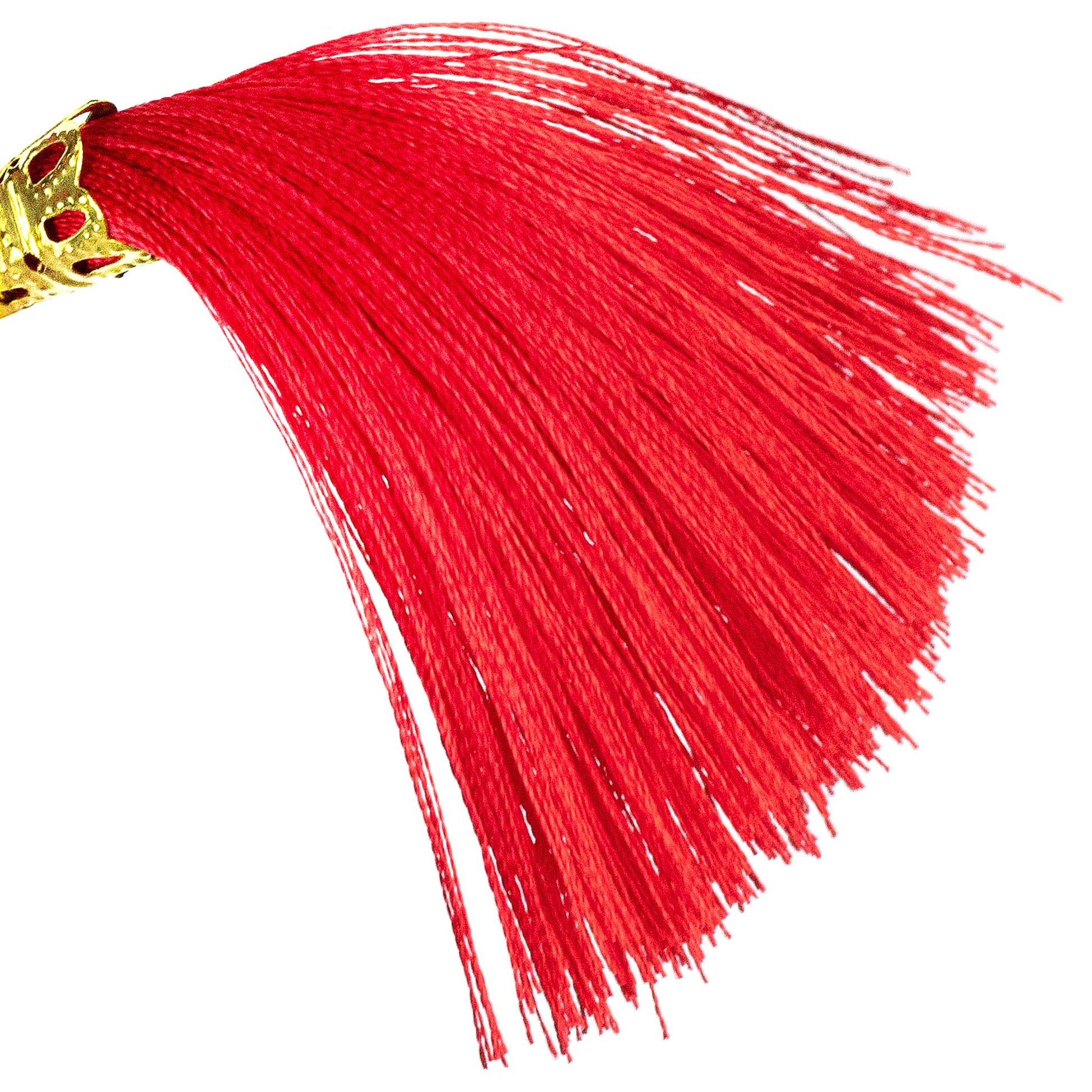 The red sexy tassels of the nipple clit tassel clamp with chain