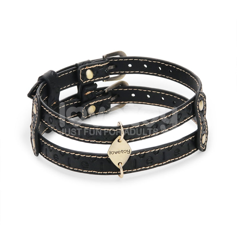 Designer Bondage | Rebellion Reign Double-strap Collar
