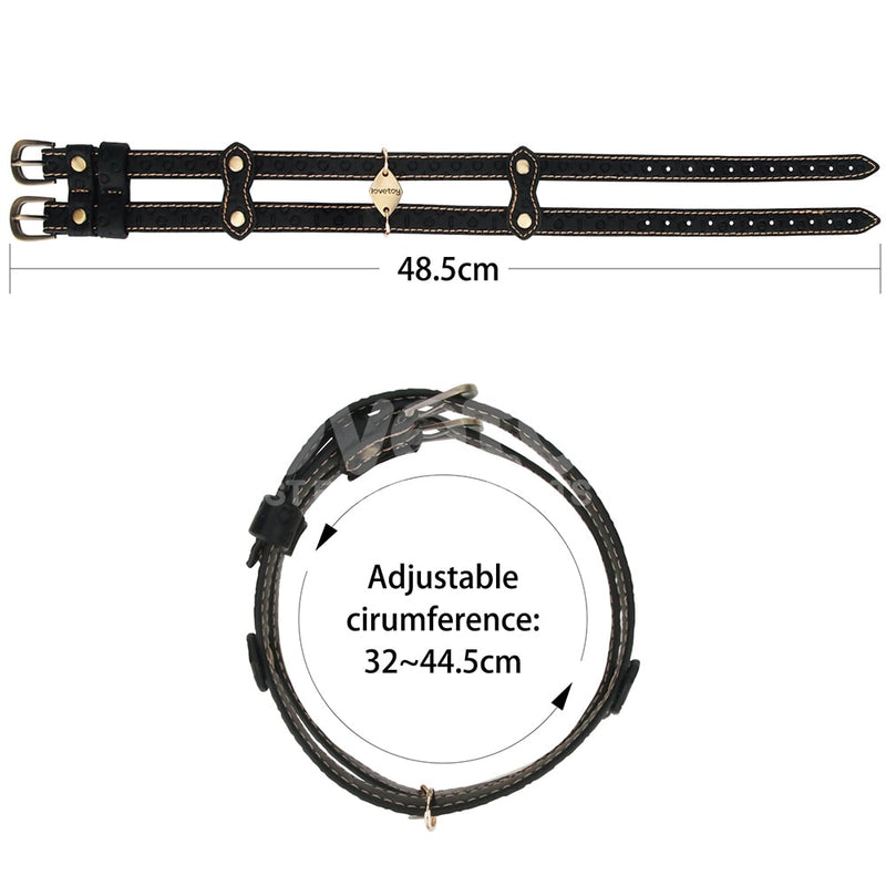 Designer Bondage | Rebellion Reign Double-strap Collar