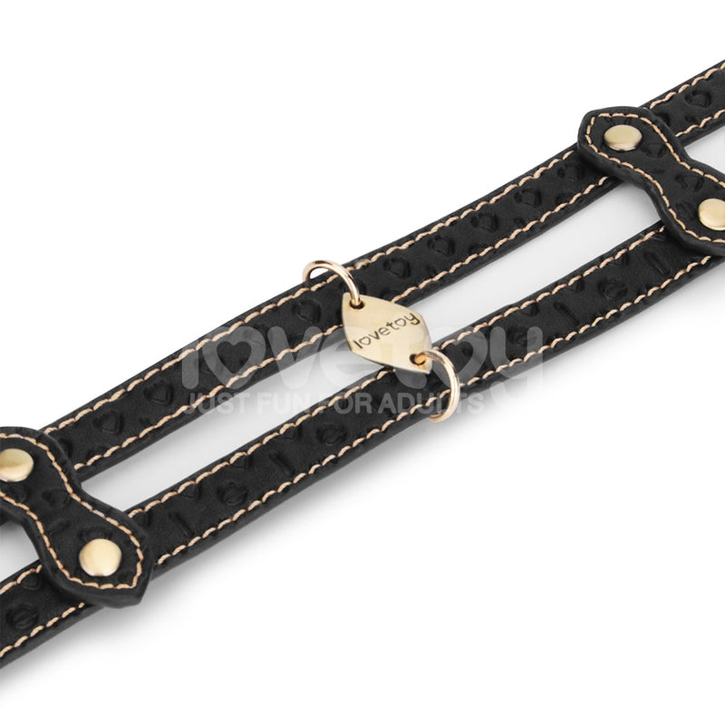 Designer Bondage | Rebellion Reign Double-strap Collar