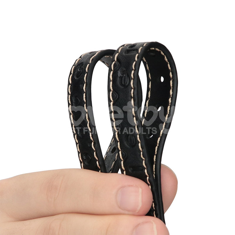 Rebellion Reign Double-strap Collar