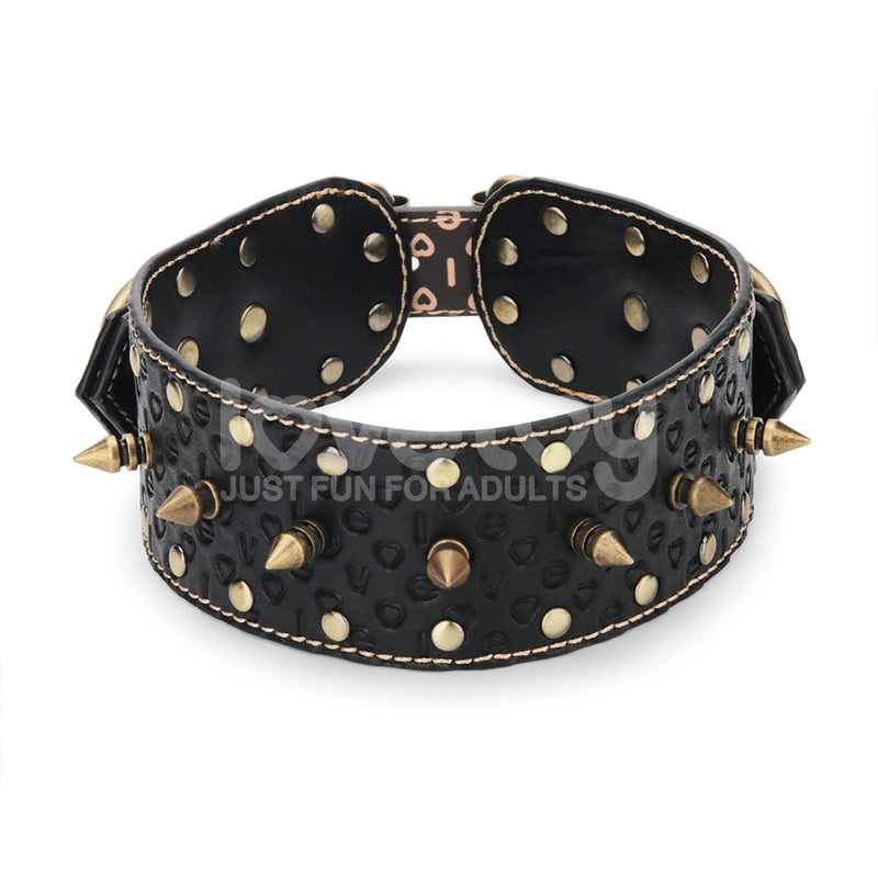 Rebellion Reign Vintage Spike Collar
