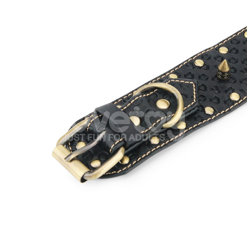 Rebellion Reign Vintage Spike Collar