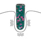 The vibration function of the rechargeable antheia massager