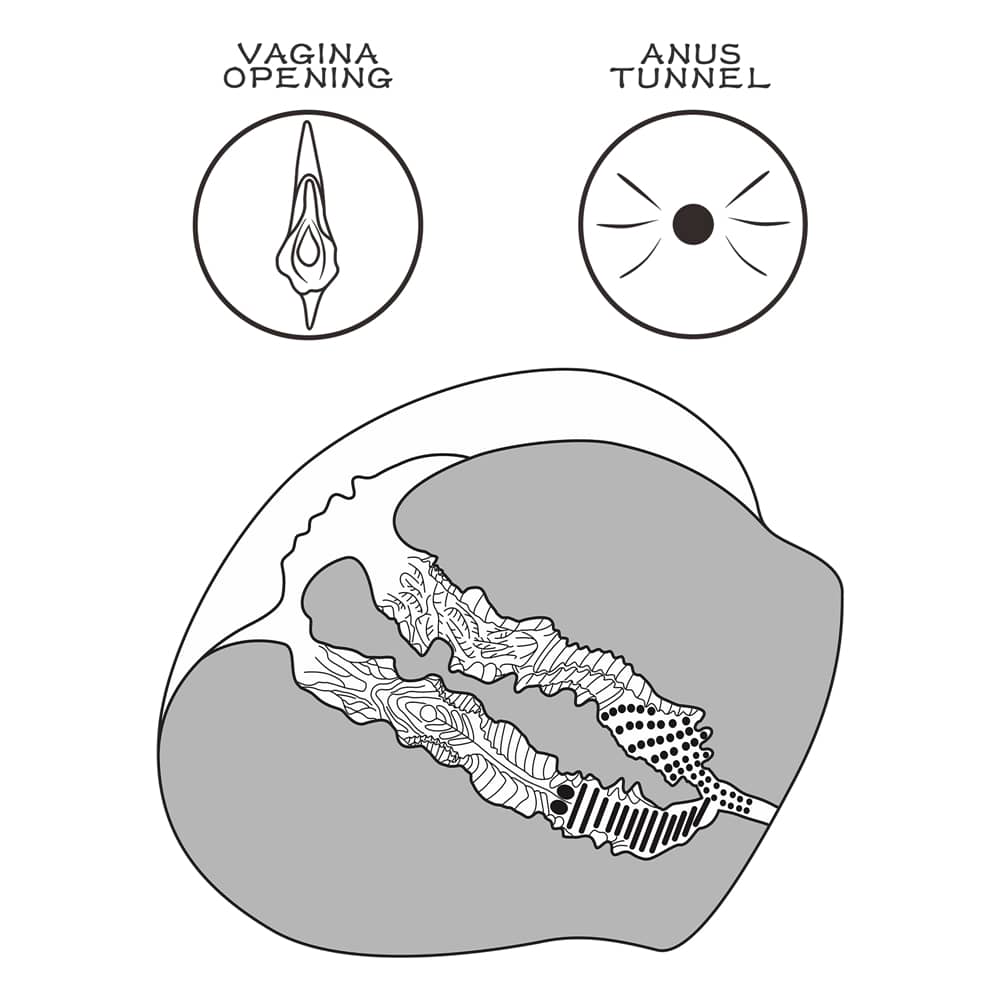 The vagina and anus tunnels of the streetgirls 12 masturbator black for men 