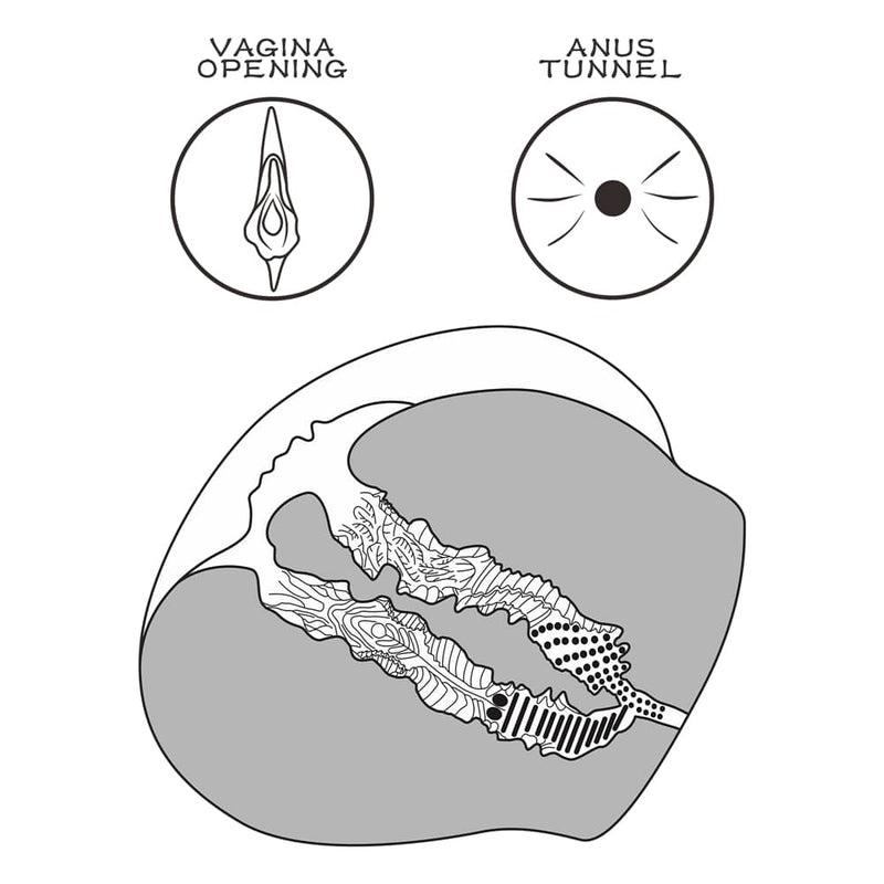 The vagina and anus tunnels of the streetgirls 12 masturbator black for men 