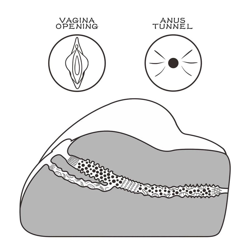 The highly detailed and ergonomically designed tunnel of the dual path street girls masturbator